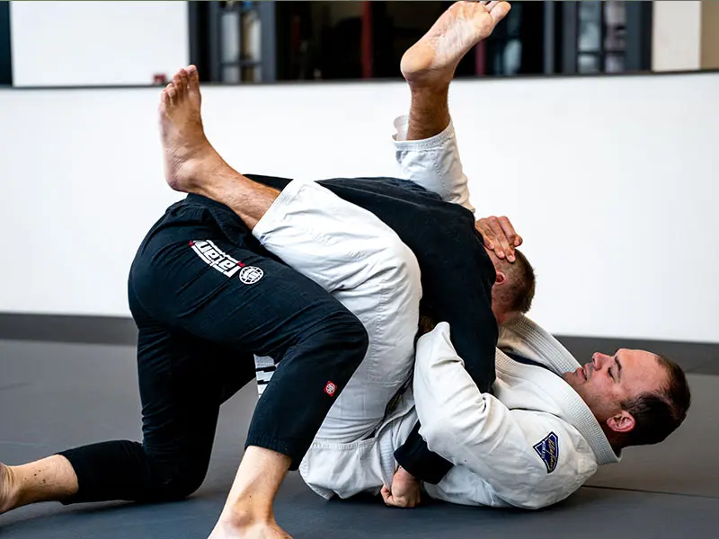Martial Arts School Near Me in Novi | iMA Sports Novi