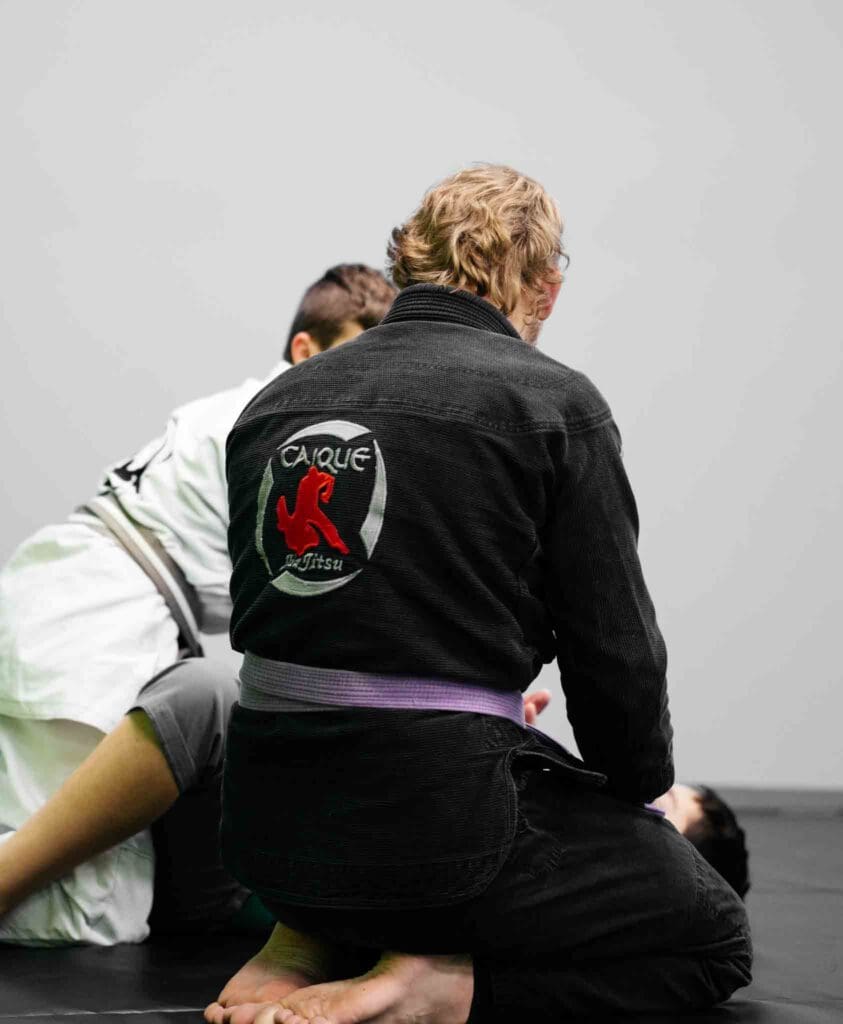 Youth BJJ Classes Near Me in Novi | iMA Sports Novi